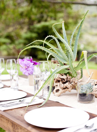 Очарование пустыни: кактусы на летней свадьбе 