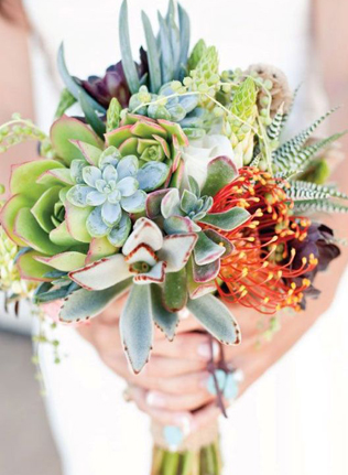 Очарование пустыни: кактусы на летней свадьбе 