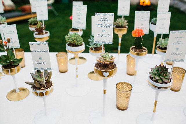 Очарование пустыни: кактусы на летней свадьбе 