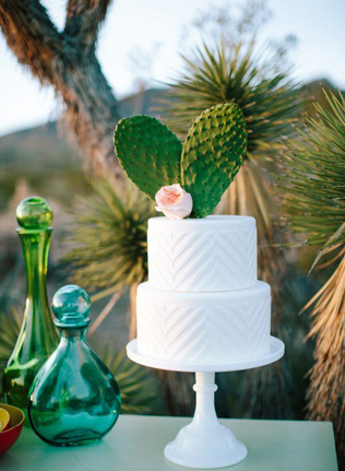 Очарование пустыни: кактусы на летней свадьбе 