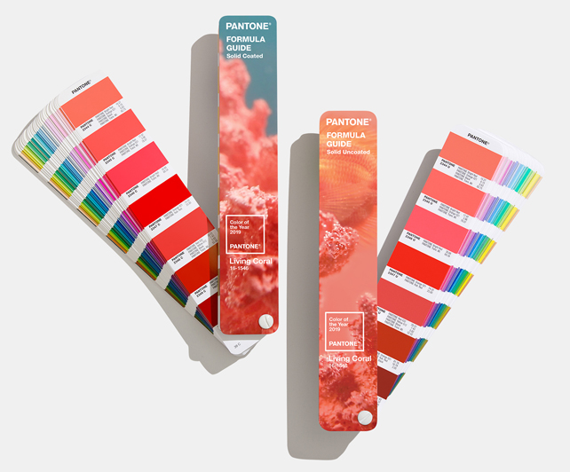  Веер с палитрой Pantone рекомендуется обновлять каждый год, чтобы краски на образце не успели выцвести

