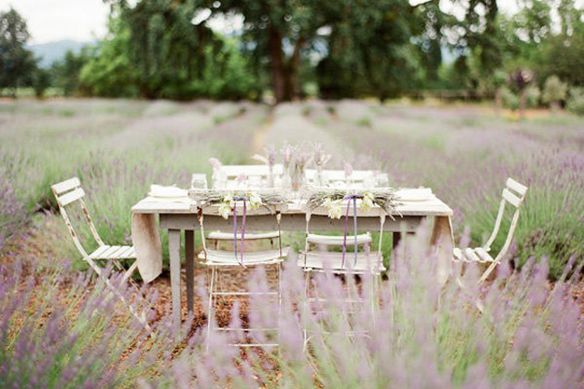 Лавандовая свадьба