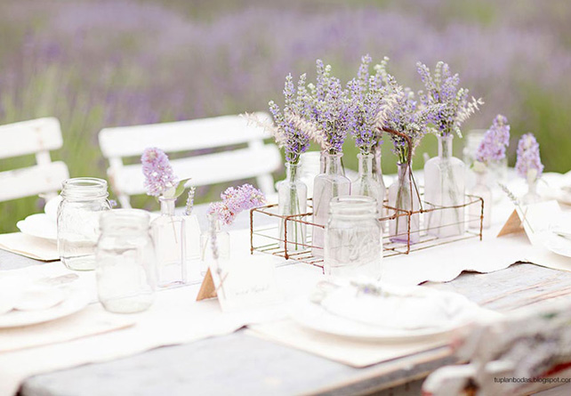 Лавандовая свадьба