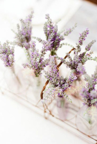 Лавандовая свадьба