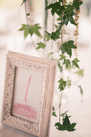 Ledentsova Wedding Agency 