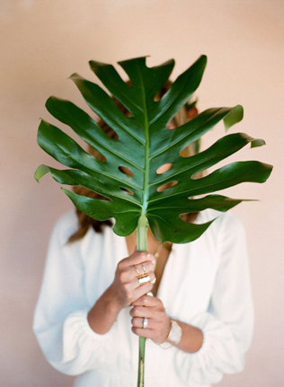 Тренды 2016 года: зеленые листья, пальмы и тропики, большой листок