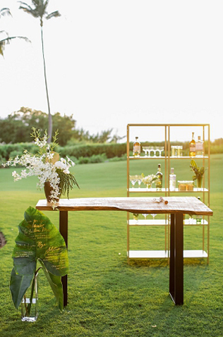 Тренды 2016 года: зеленые листья, пальмы и тропики, бар на открытом воздухе