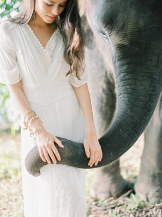 Это вам не котики! Лучшие свадебные фотографии с животными 