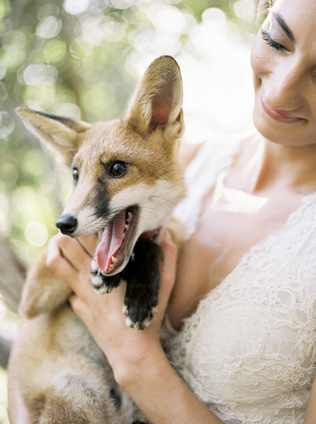 Это вам не котики! Лучшие свадебные фотографии с животными 