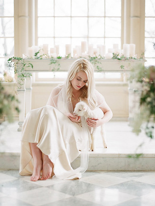 Это вам не котики! Лучшие свадебные фотографии с животными 