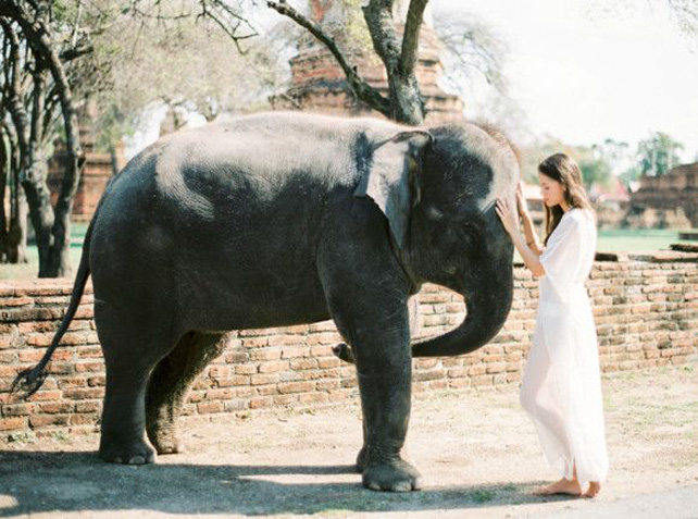Это вам не котики! Лучшие свадебные фотографии с животными 