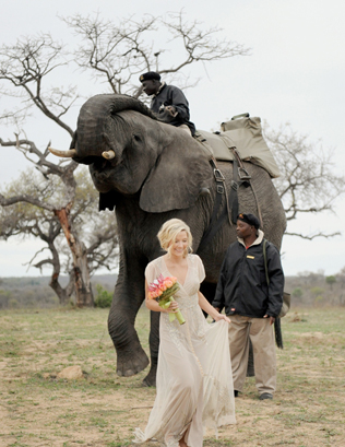 Это вам не котики! Лучшие свадебные фотографии с животными 