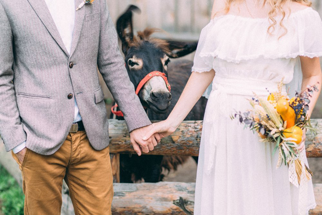 Это вам не котики! Лучшие свадебные фотографии с животными 