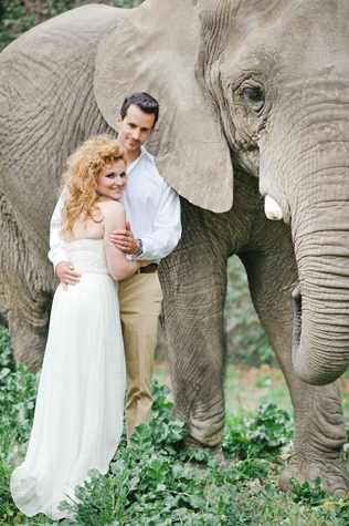 Это вам не котики! Лучшие свадебные фотографии с животными 