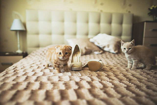 Фотограф Анна Ионова, Волгоград