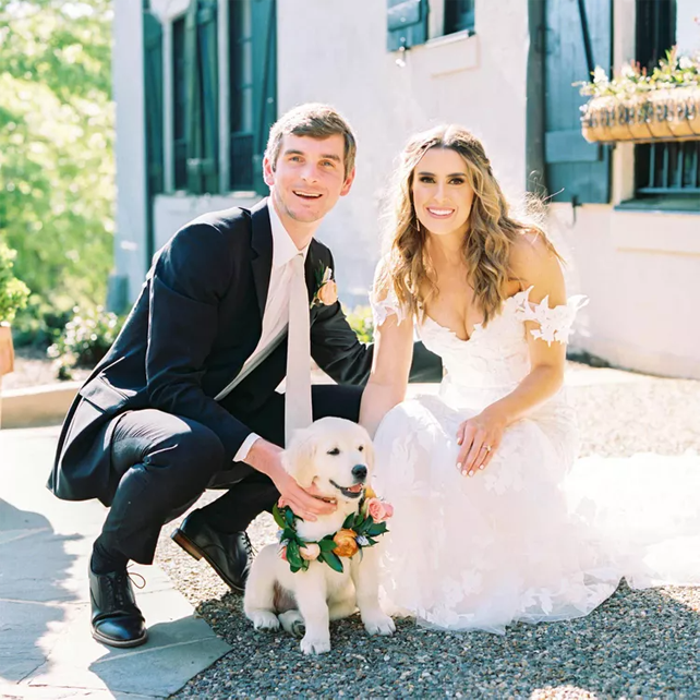 30 восхитительных способов красиво нарядить собаку на свадьбу