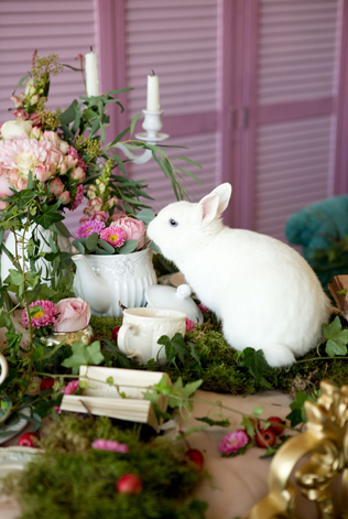 Мария Карих, Page of love 