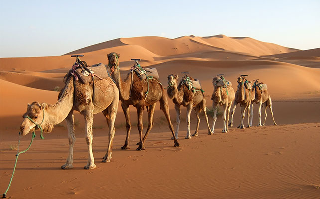 достопримечательности Марокко