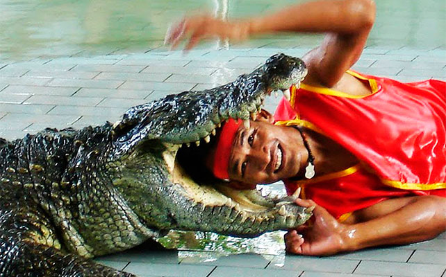 флора и фауна Таиланда