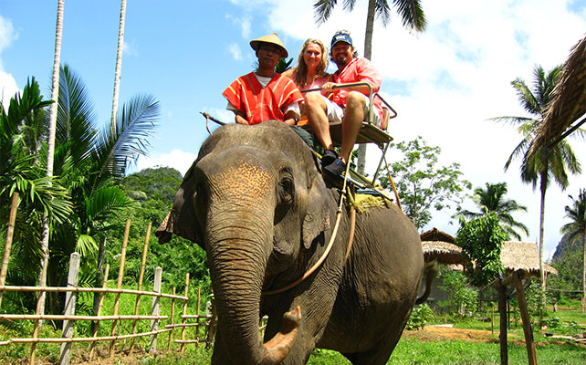 флора и фауна Таиланда