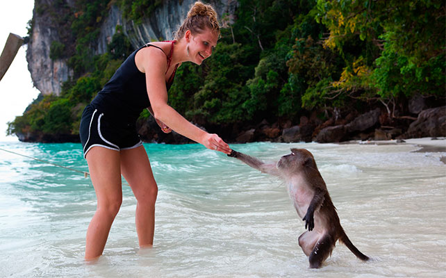 флора и фауна Таиланда