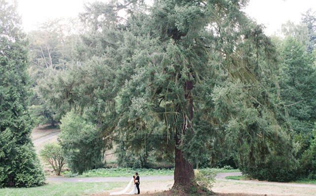 Must have свадебной фотосессии 2015: фотосессия в лесу - The-wedding.ru