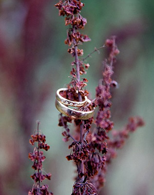 Must have свадебной фотосессии 2015: обручальные кольца - The-wedding.ru