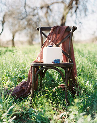 Торт во всей красе - must have свадебной фотосессии 2015 - The-wedding.ru