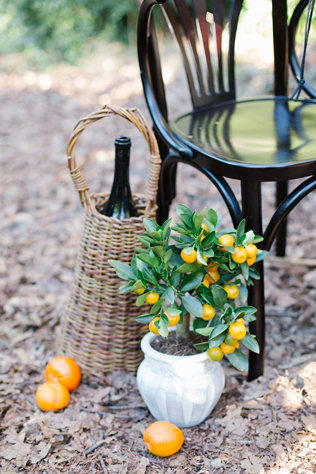 Наталия Куденко, Special Wedding 