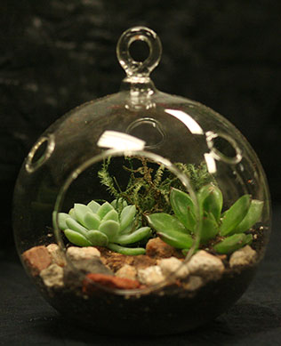 необычная свадебная флористика, цветы в стеклянных шарах