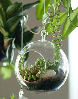 необычная свадебная флористика, цветы в стеклянных шарах