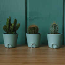 Крупные планы с обручальными кольцами  – маст-хэв для свадебной фотосессии. Фотограф Татьяна Авилова