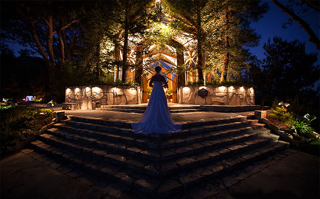 ночная свадьба, декор церемонии