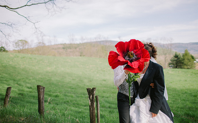 Сделай сам - один цветок вместо букета невесты