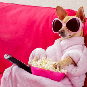 7 лучших свадебных телепередач, которые стоит посмотреть прямо сейчас