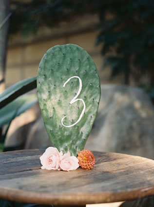 Опунция: 37 идей для экзотической свадьбы 