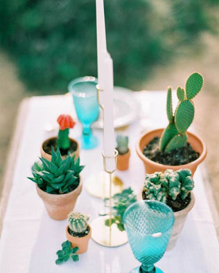 Опунция: 37 идей для экзотической свадьбы 