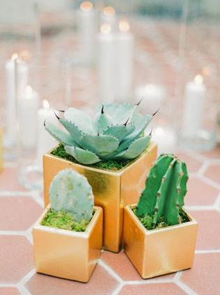 Опунция: 37 идей для экзотической свадьбы 