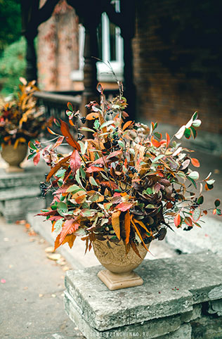 Осенняя фотосессия лав стори в стиле fine art, цветок в горшке