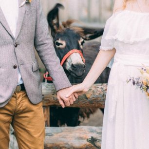 Топ-7 свадебных странностей со всего мира