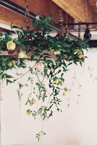 Цветы и зелень: 50 идей для подвесных композиций  