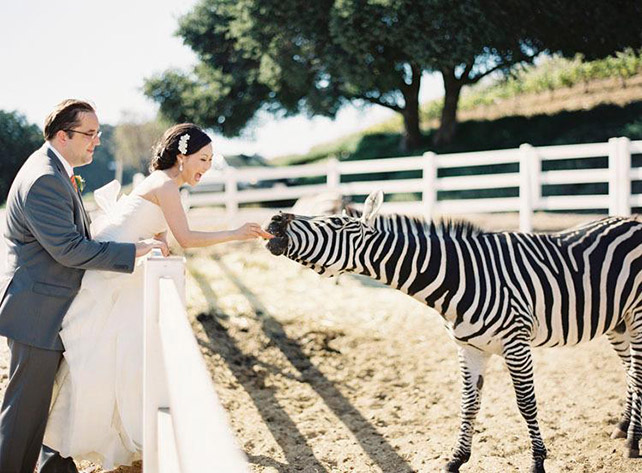 Черно-белая полоска на свадьбе - декор фотосессии