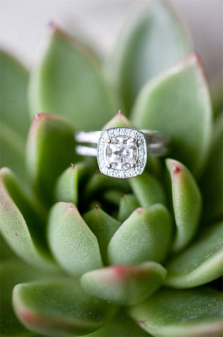 100 восхитительных помолвочных колец 