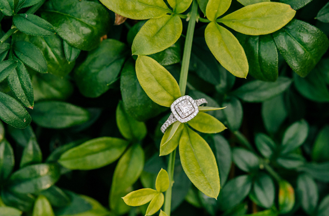 100 восхитительных помолвочных колец 