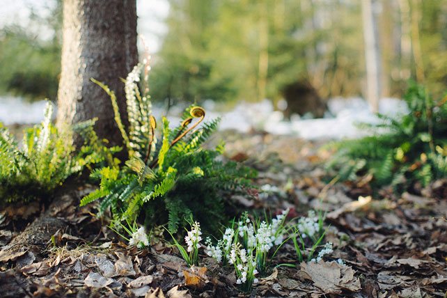 свадебная фотосессия невесты в лесу