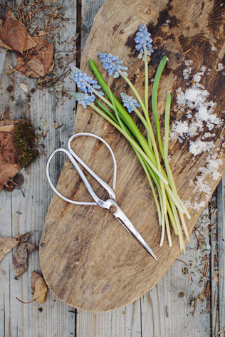 свадебная фотосессия невесты в лесу, декор