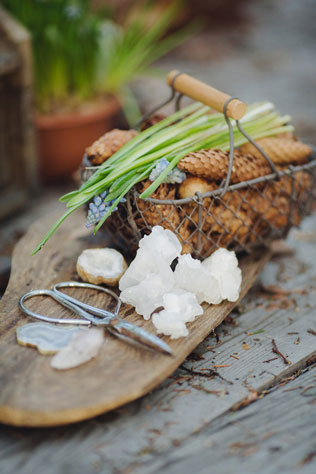 свадебная фотосессия невесты в лесу, декор, шишки