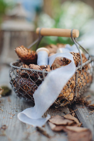 свадебная фотосессия невесты в лесу, декор, шишки