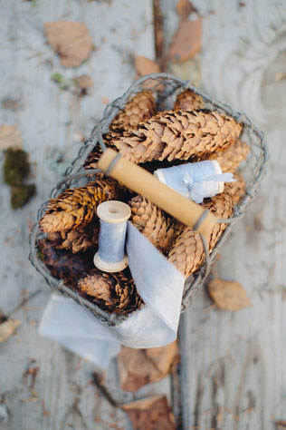 свадебная фотосессия невесты в лесу, декор, шишки