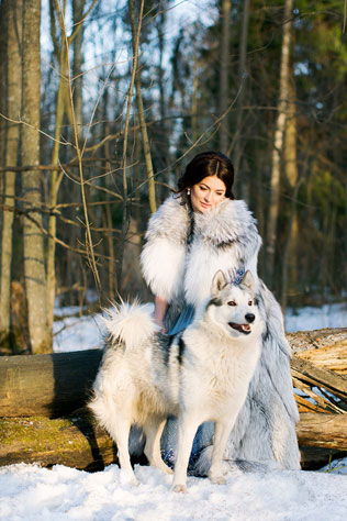свадебная фотосессия невесты в лесу, невеста с хаски